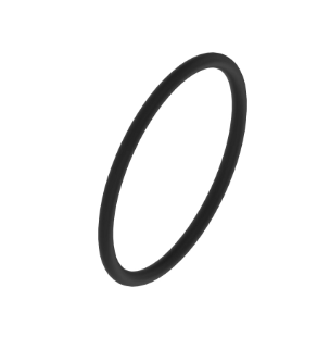 ORING (Strainer Gasket) (PMLST100-GV) N208934